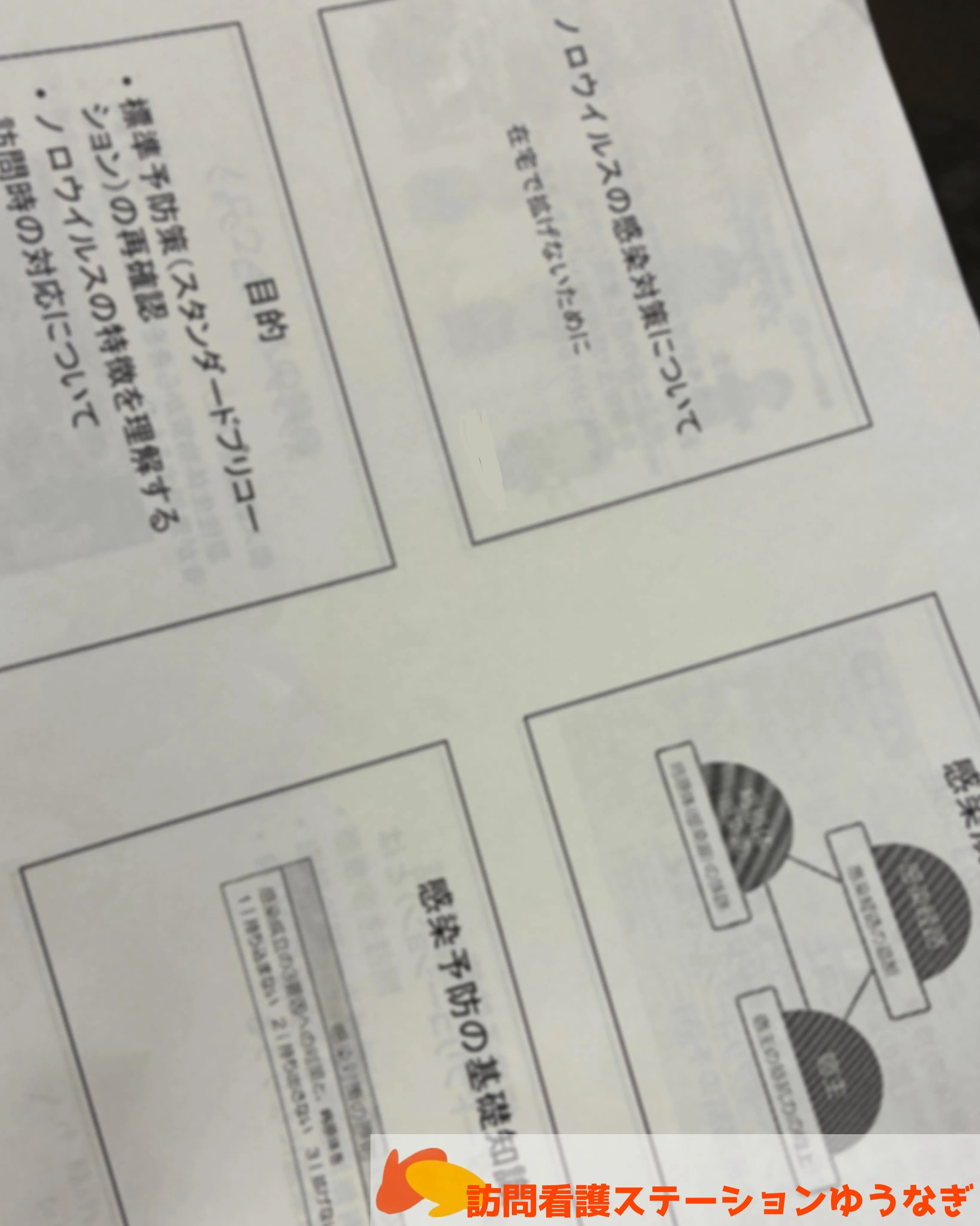こんにちは(^^)ゆうなぎです🌼